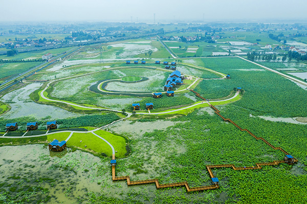 图片4：天景花池田园综合鸟瞰图.jpg