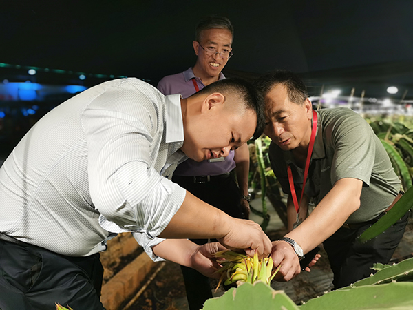 金穗产业游4.jpg