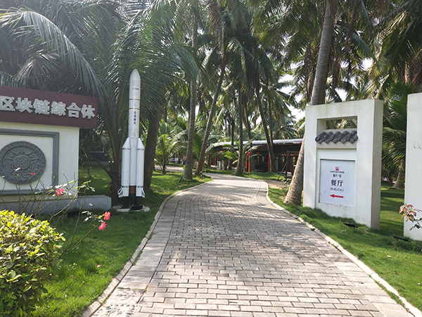 航天椰林小道.jpg