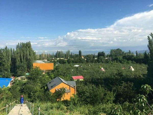 青苹果山庄核桃园.jpg