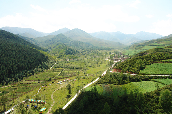 图片2：夏宗林场全景.jpg