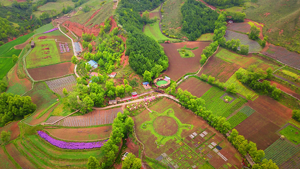 图11航拍全景.jpg