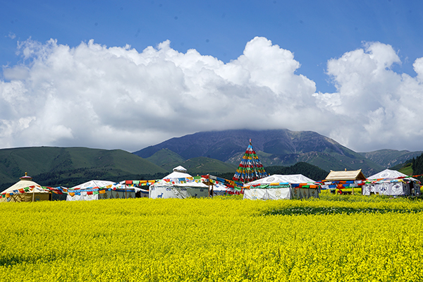 图片9.jpg