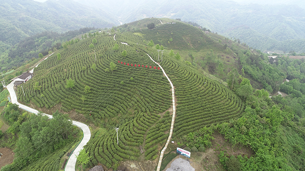 蜿蜒山路2.jpg