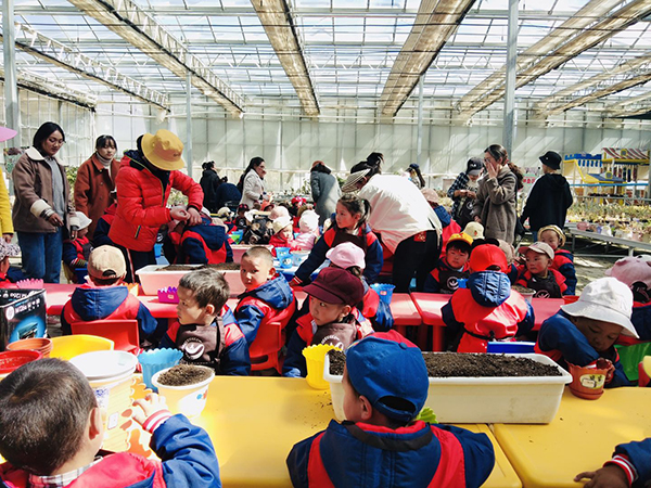 7幼儿园小朋友种植多肉.jpg
