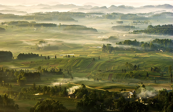 凤冈茶海晨韵（李利亚摄）2009年5月.jpg