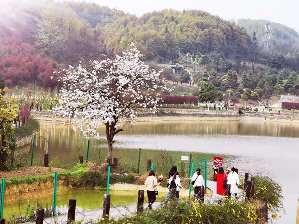环湖景观.JPG