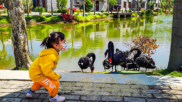 沙美天鹅湖1.jpg