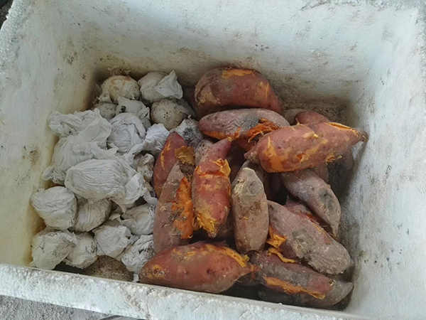 特色餐饮：土窑地瓜.jpg