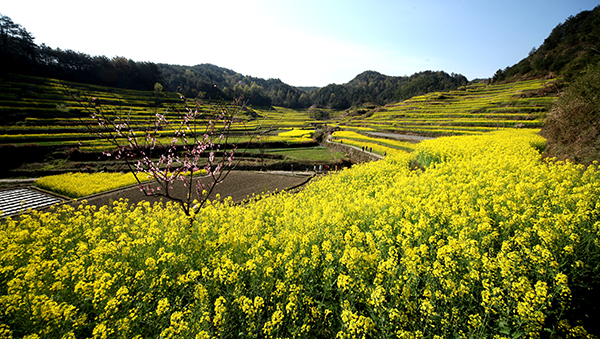 10  醉美灵山.JPG