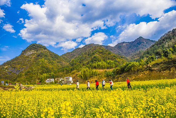 图片4：安徽省岳西县天峡油菜花海.jpg