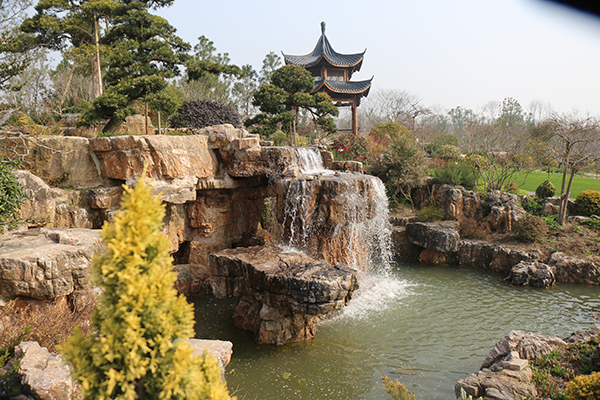 岩石园一景.png