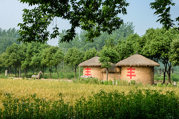 图片15：捺山那园田园风光.jpg