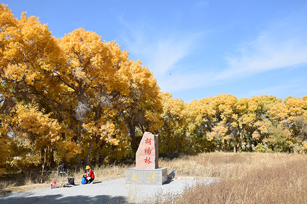 图片18.JPG