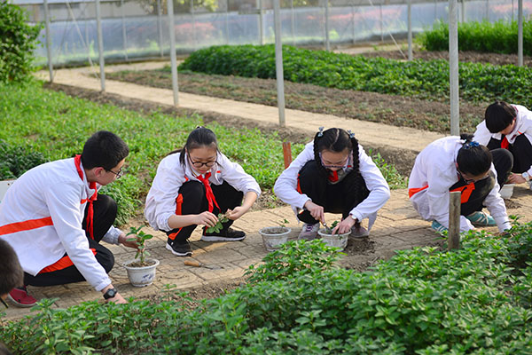 学生农业实践基地1.jpg