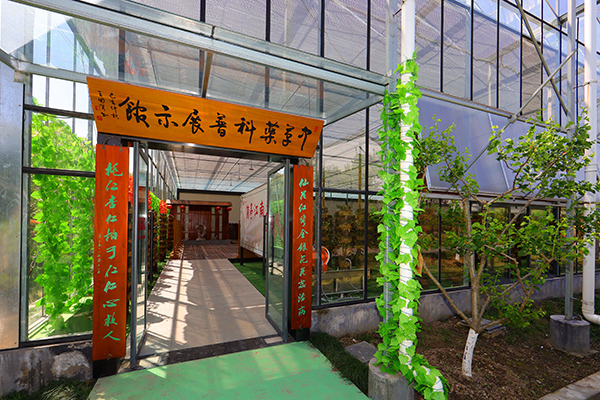 中草药科普展示馆1.JPG
