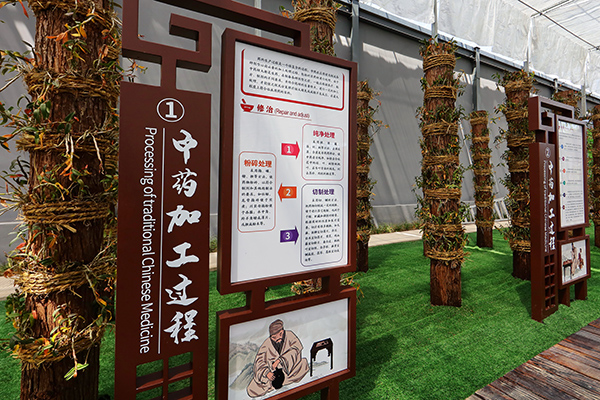 中草药科普展示馆4.JPG