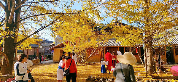 3游客观光场景.jpg