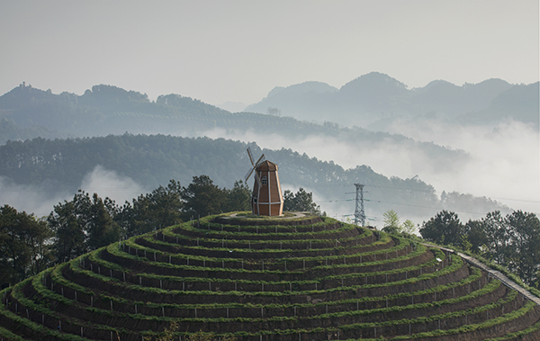 茶山雾海.jpg