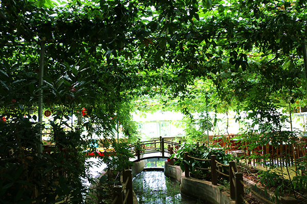 荣礼葡萄园餐厅.JPG