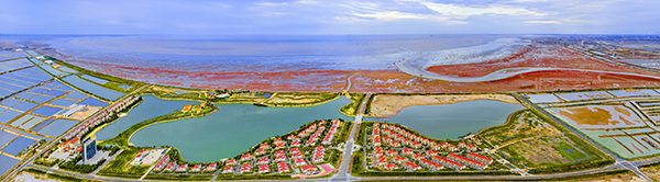 2红滩湿地旅游度假区.jpg