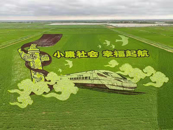 2稻田画.jpg