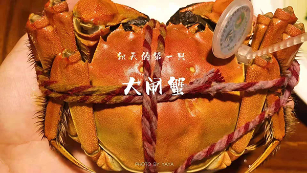 微信图片_202207181012592.jpg
