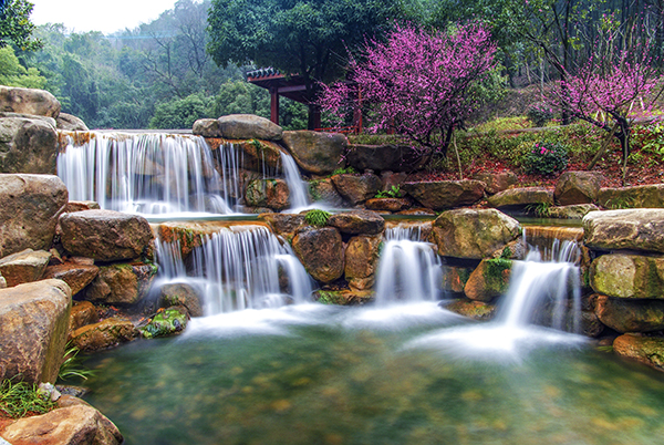 地下长河门口清泉润红梅.JPG