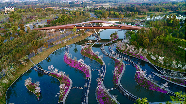 兰湖花开.jpg