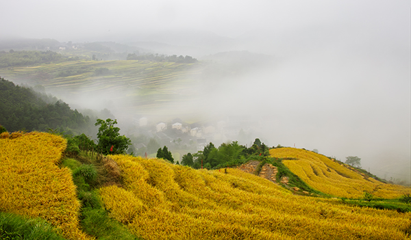 杨丰山之秋-杨国栋摄.jpg