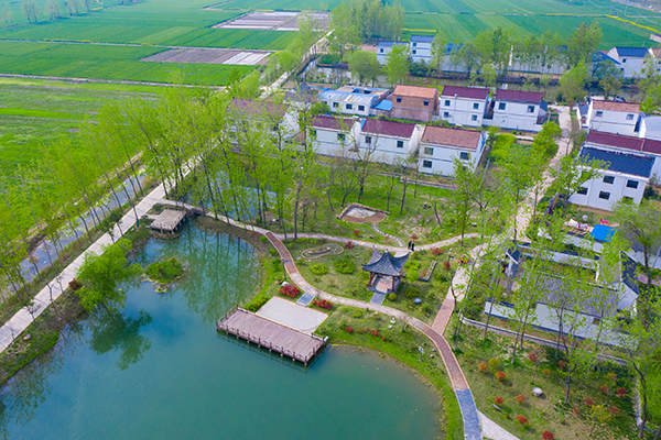 刘圩村.jpg