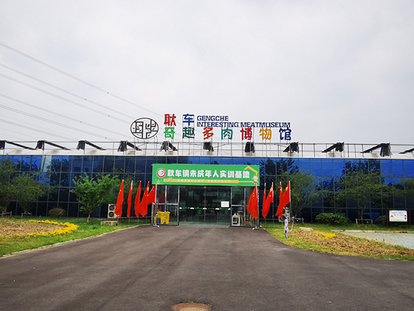 刘圩村奇趣多肉博物馆.jpg