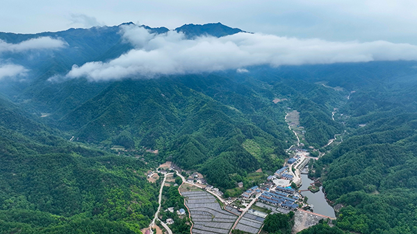 清晨云雾下老庵寺美丽乡村.jpg