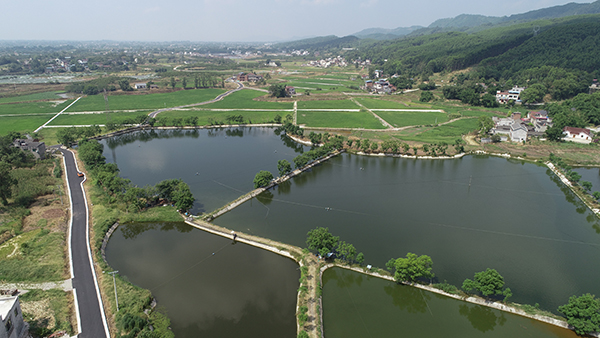 5普陀垂钓基地.jpg