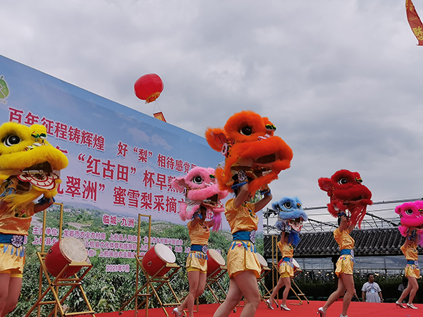 3.2.九洲蜜雪梨采摘节2.jpg