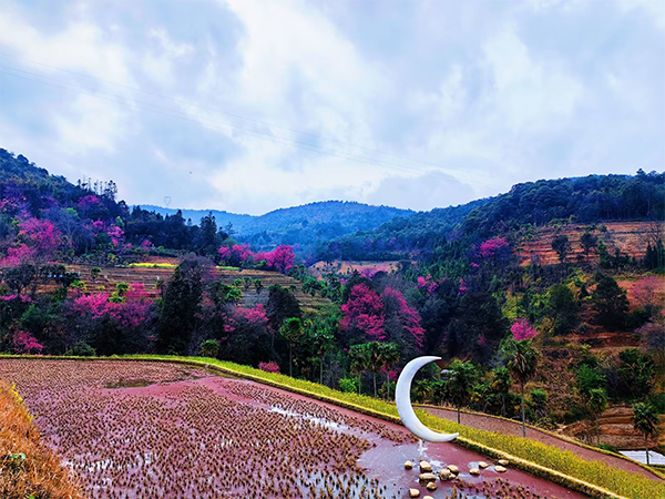 樱花谷2.png