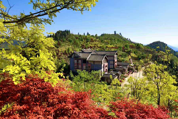 图片2-彩色森林·云山房乡村艺术酒店.jpg