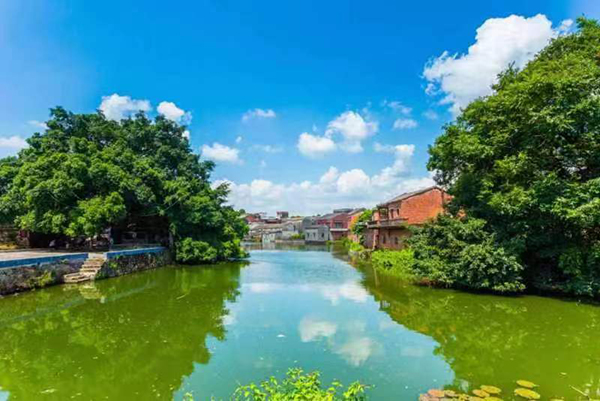 黎槎八卦村河塘景色.jpg