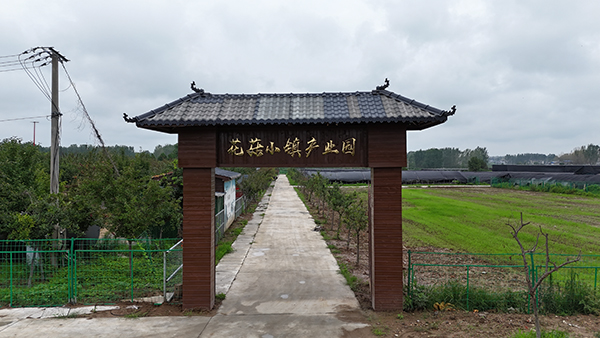图片10.JPG
