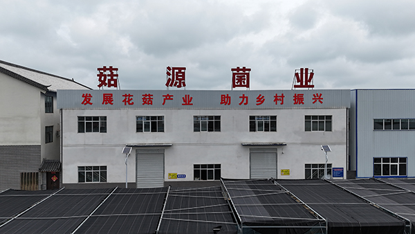 图片15.JPG