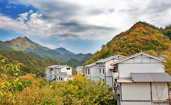 彩叶风景.jpg