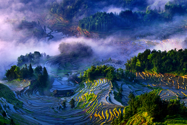 图片1紫鹊界风光之春 摄影 罗中山.jpg