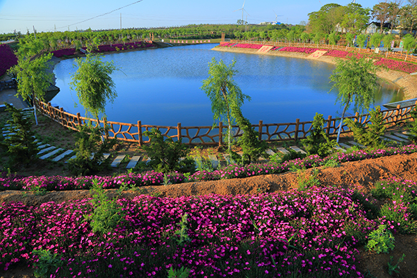 图片6：花簇镜心湖.JPG