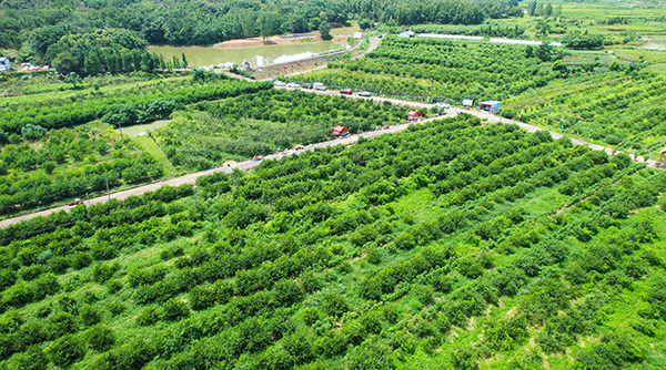 5.丰地庄园基地.jpg