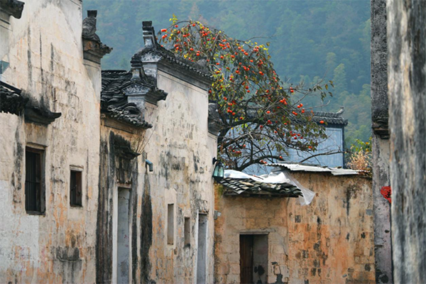 西递秋景3.png