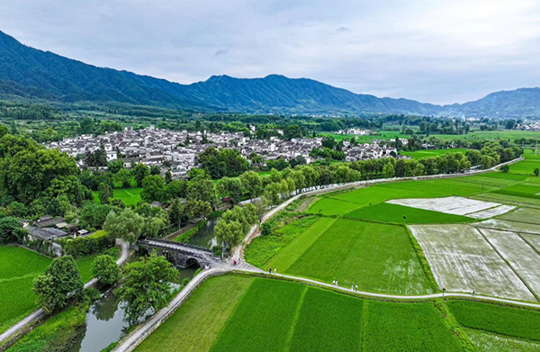 南屏田园景观.png