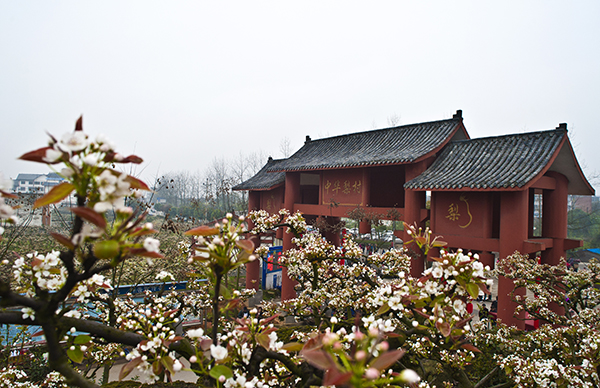 黄瓜山中华梨村大门.jpg