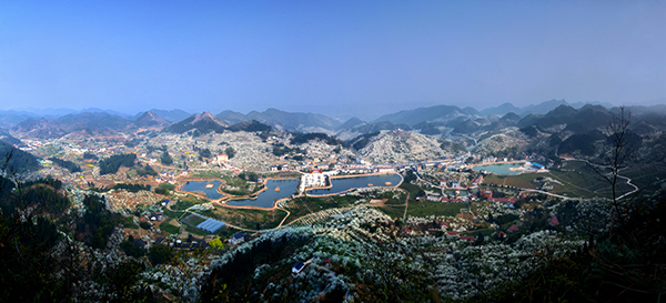 印盒李花风景区 .jpg
