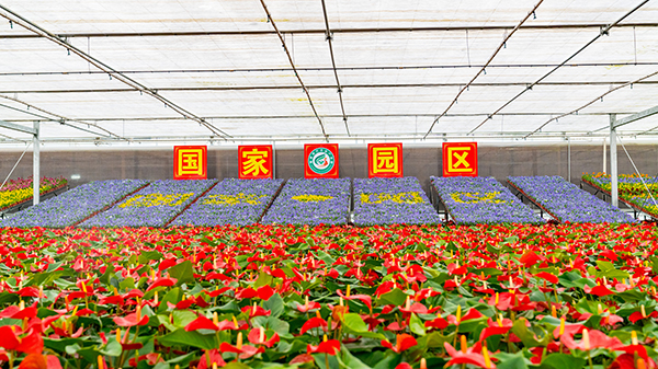 03.智能大棚花卉.jpg