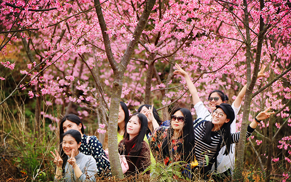 赏樱花.JPG